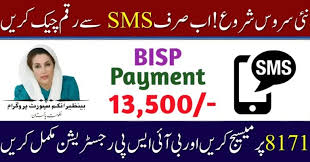Check Your BISP Payment Instantly with 8171 SMS Service 2025 (Full Guide)