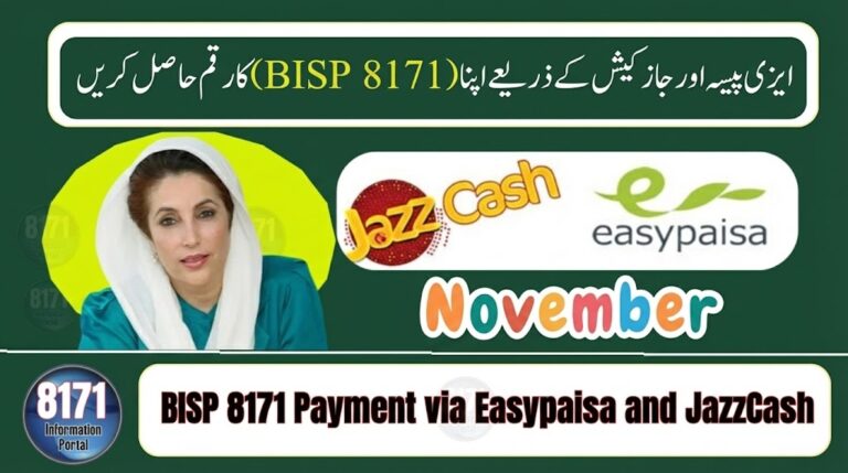 Punjab Tourism Internship Program application details displayed on official BISP portal