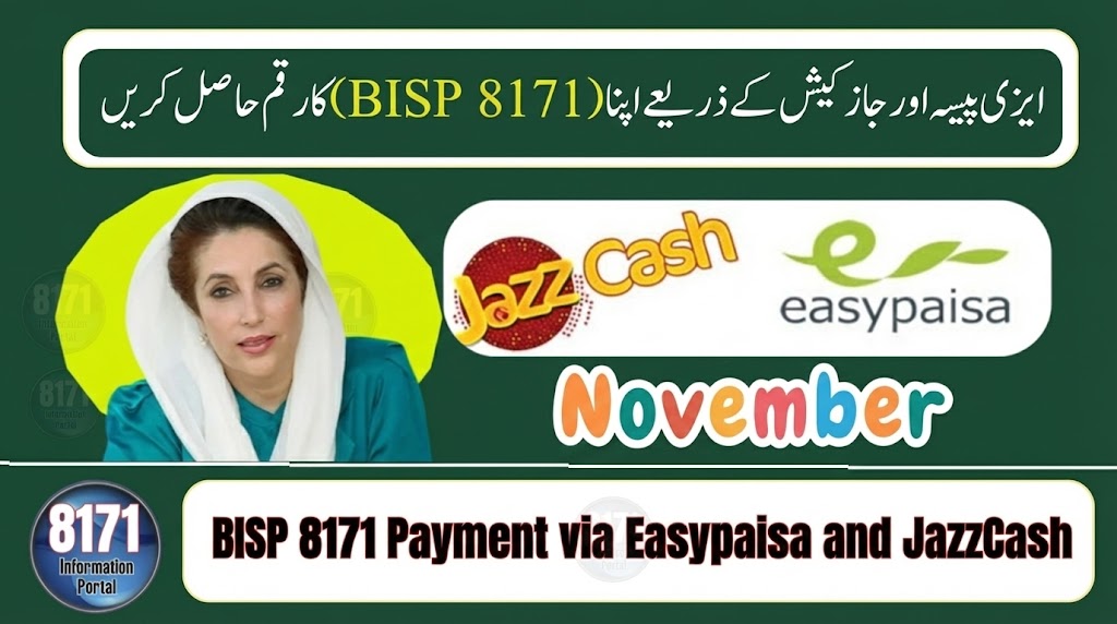 Punjab Tourism Internship Program application details displayed on official BISP portal